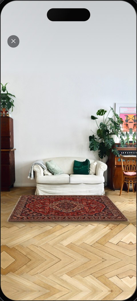Phone screen: the rug lies in front of the sofa with its size shown